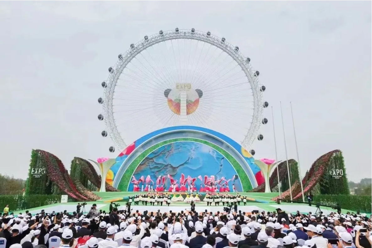 PG模拟器